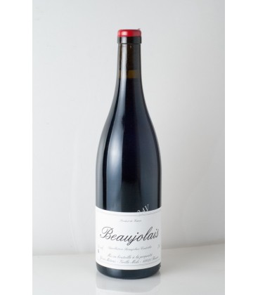 Beaujolais Domaine Yvon Métras 2019